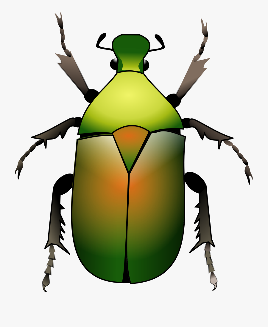 Beetle Clipart Green Beetle - Beetle Svg, Transparent Clipart