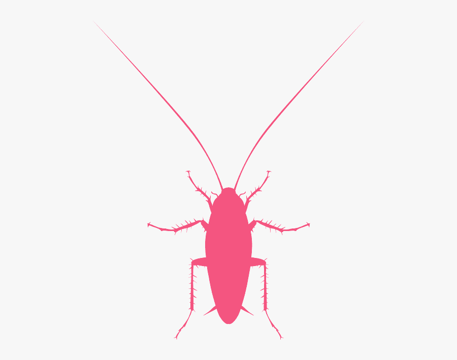 Cockroach Vector Png, Transparent Clipart
