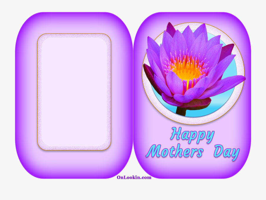 Happy Mothers Day Violet Lily - Water Lily, Transparent Clipart