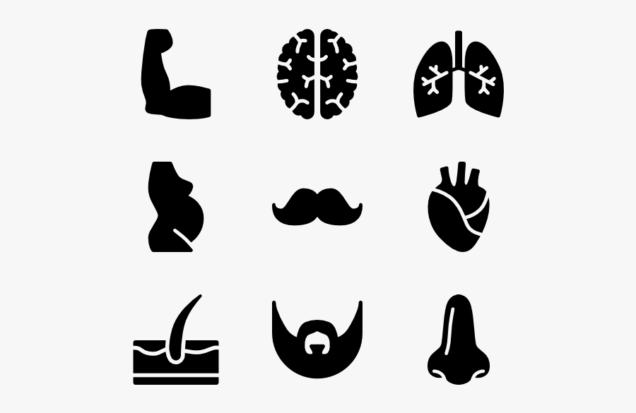 Anatomy - Icon Anatomy, Transparent Clipart
