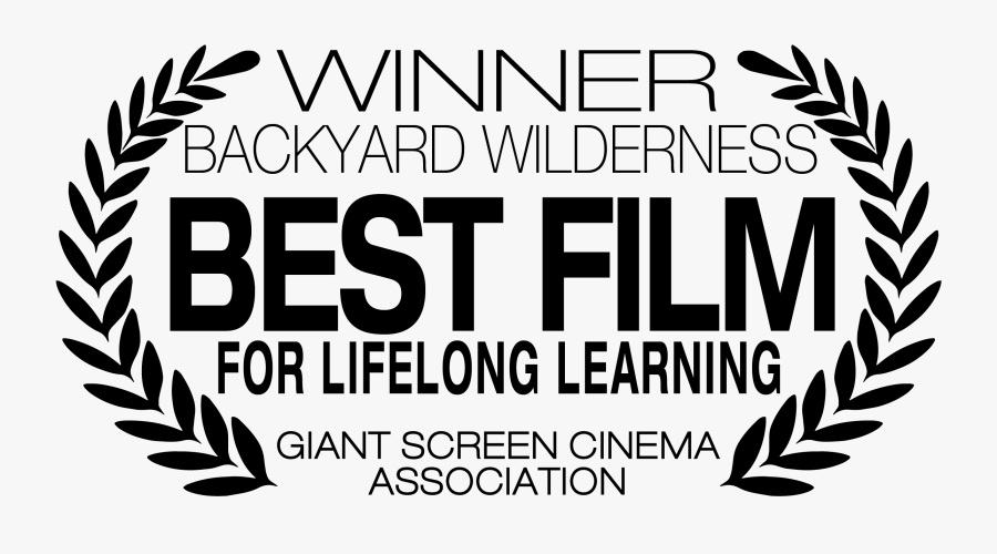 Clip Art Sk Films Award Winning - Parallel, Transparent Clipart