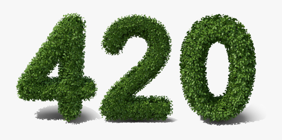 Grass, Transparent Clipart