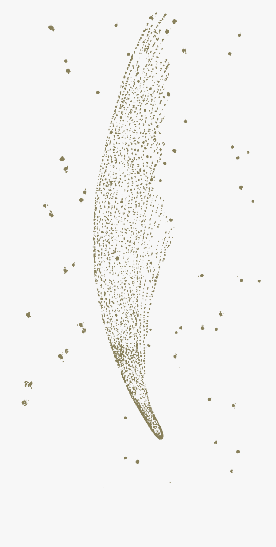 Carroll Phantasmagoria Donati Comet - Illustration, Transparent Clipart