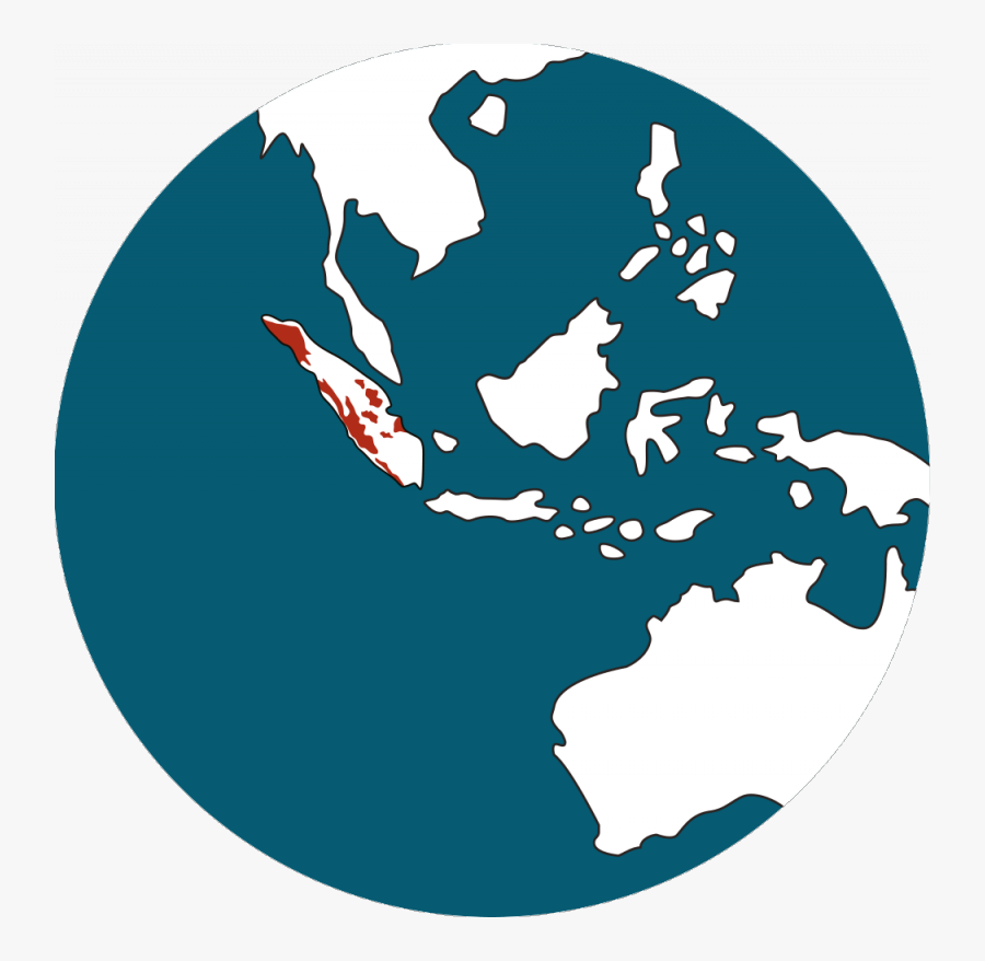 Tigres Clipart Sumatran Tiger - Auckland To Tokyo Flight Path, Transparent Clipart