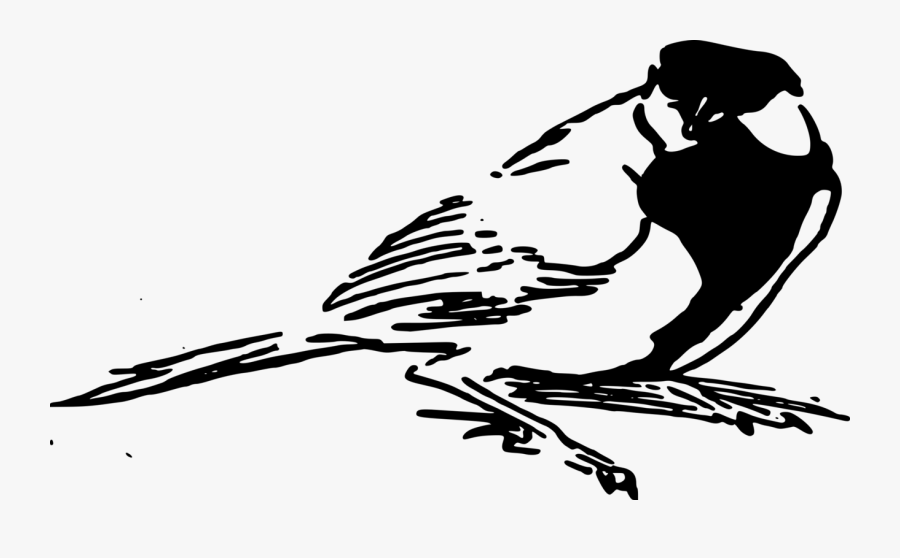 Art,monochrome Photography,beak - Illustration, Transparent Clipart