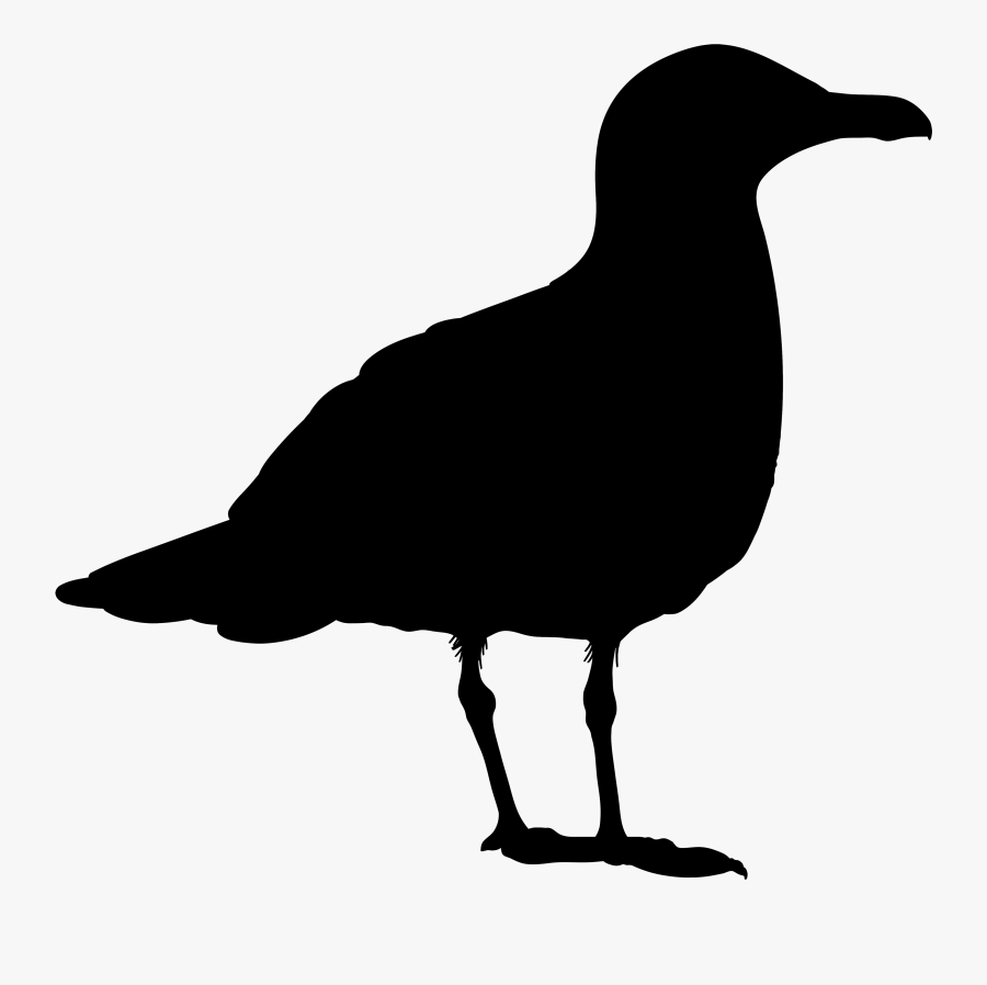 Beak Clip Art Fauna Silhouette - Seabird, Transparent Clipart