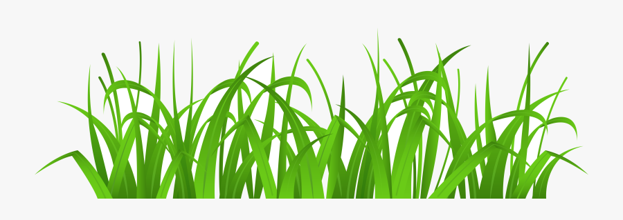 Grass Tallc Clipart Collection Transparent Png - Clipart Grass, Transparent Clipart