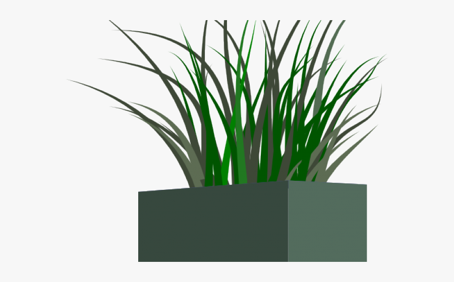 Transparent Tall Grass Png - Transparent Png Flower Box, Transparent Clipart