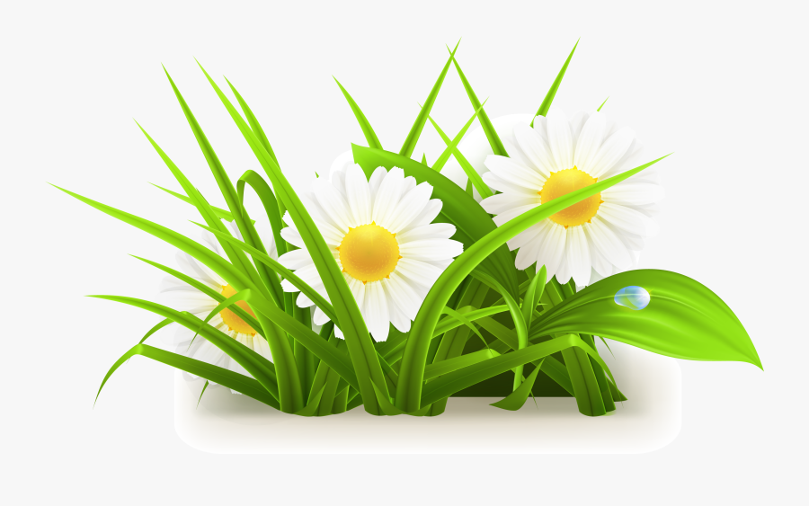 Daisies Clipart Long Grass - Grass Flowers Vector Png, Transparent Clipart