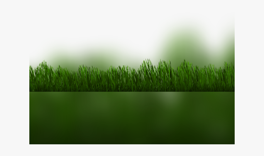 Color Palette Ideas From Grass Family Wheatgrass Image - Grass, Transparent Clipart