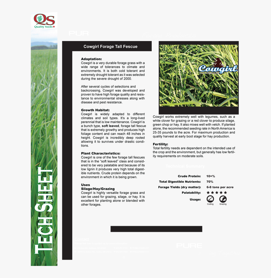Transparent Tall Grasses Png - Sweet Grass, Transparent Clipart