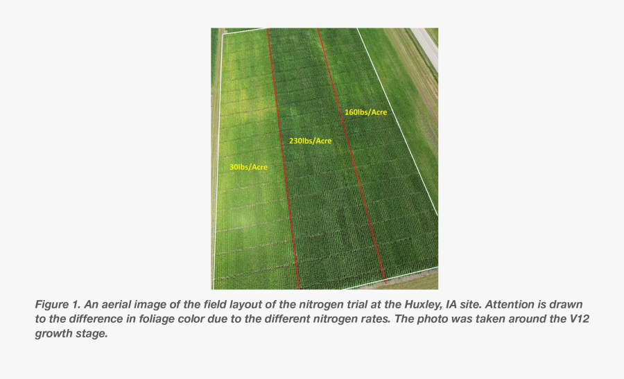 Even Though Yields Were Highest At The Victor Location, - Lawn, Transparent Clipart