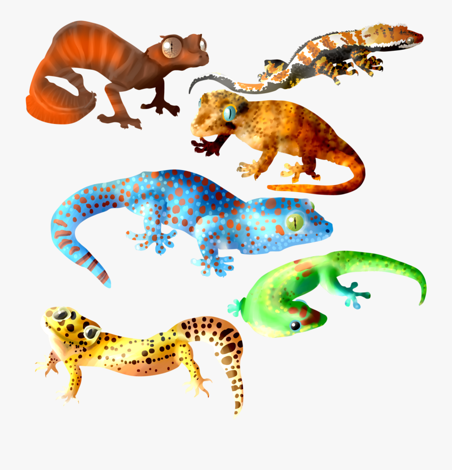 Transparent Dust Mask Clipart - Gargoyle Gecko Png, Transparent Clipart