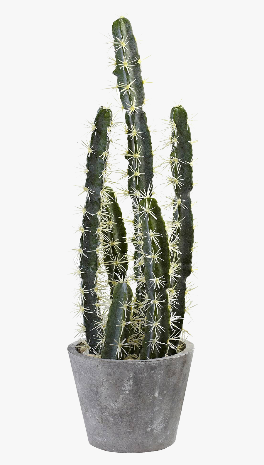 Cactus Png Potted - Cactus In Pot Png, Transparent Clipart