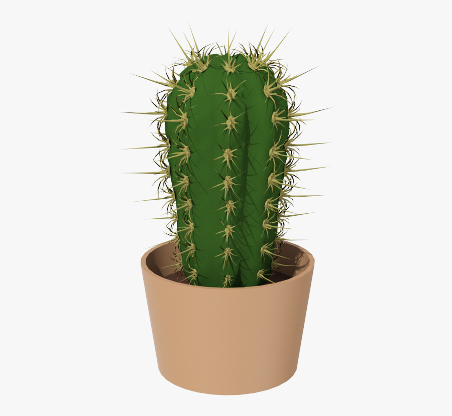Cactus Png Image - Кактус Png, Transparent Clipart