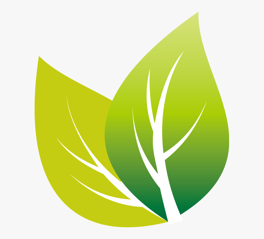 Tea Leaf Clipart Png , Free Transparent Clipart ClipartKey
