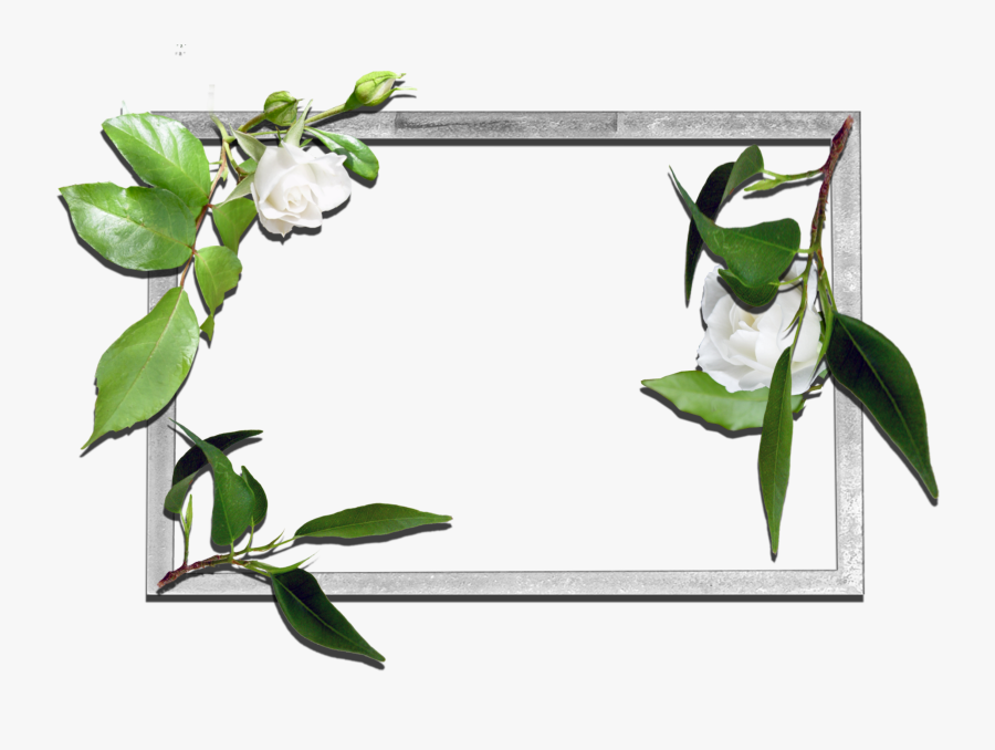 Frames Flowers Transparent Png Clipart , Png Download - Flower Frames, Transparent Clipart