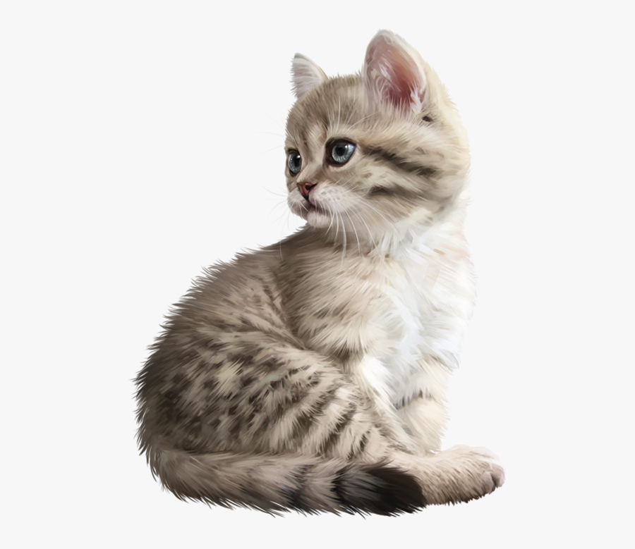 Squitten, Transparent Clipart