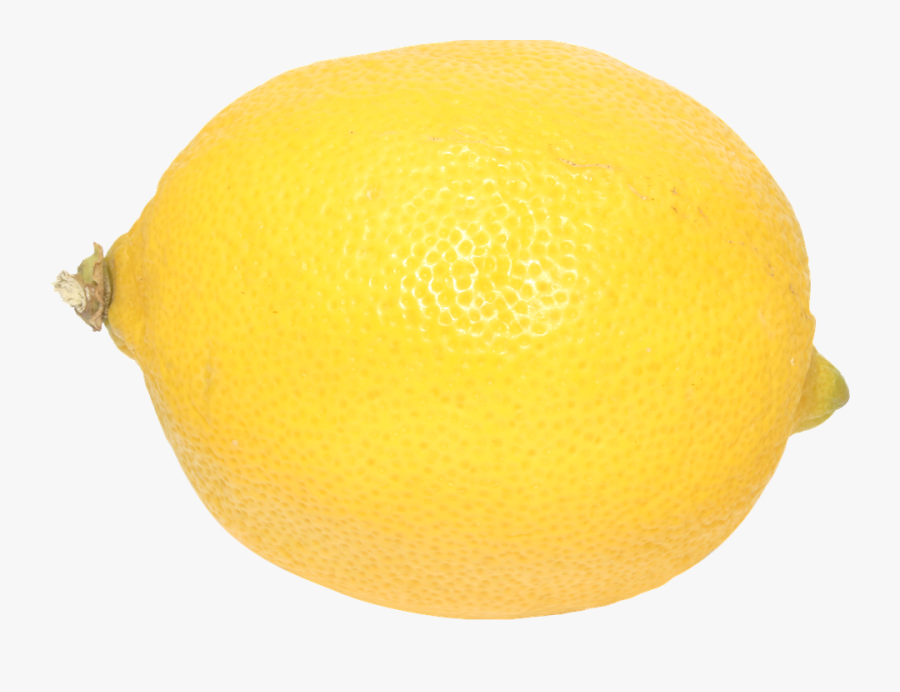 Transparent Lime Slice Png - Limão Tropical Png, Transparent Clipart