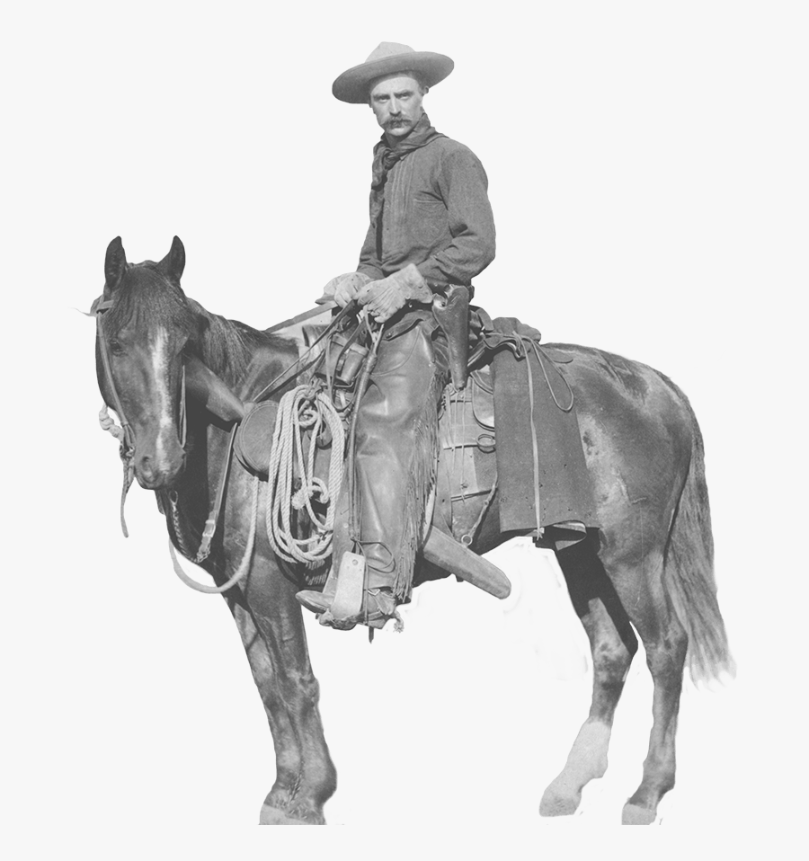 Horse Studying - 1887 Cowboy, Transparent Clipart