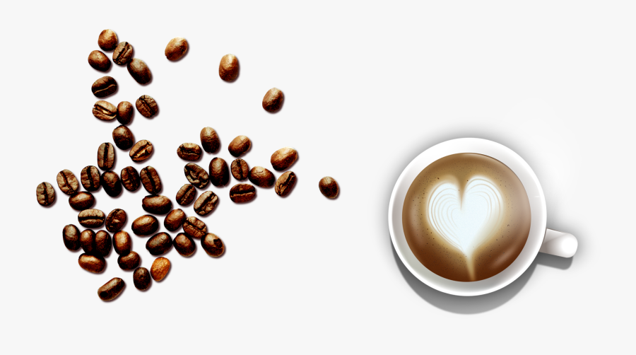 Beans Vector Espresso Bean - Coffee Bean, Transparent Clipart