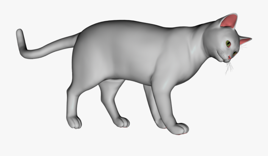 Transparent White Cat Png - Peterbald, Transparent Clipart
