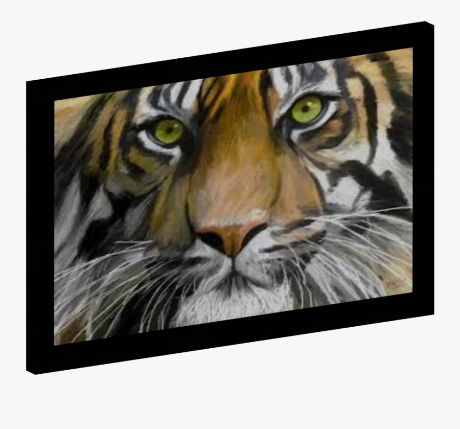 Eye Of The Tiger, Transparent Clipart