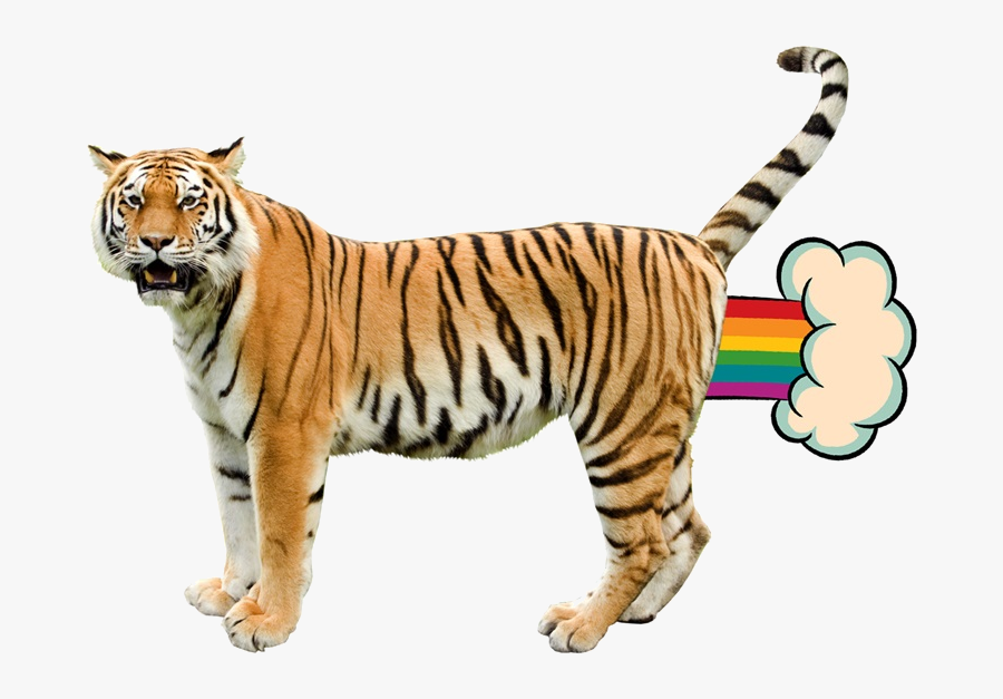 Grft - Giant Realistic Flying Tiger, Transparent Clipart