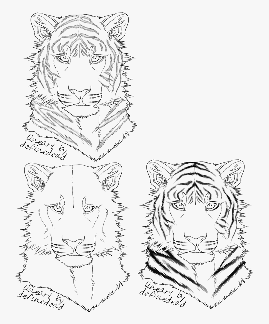 Tiger Eyes Lineart - Line Art, Transparent Clipart