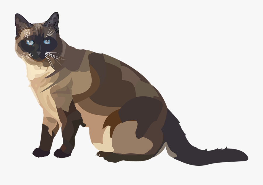 Cat, Transparent Clipart