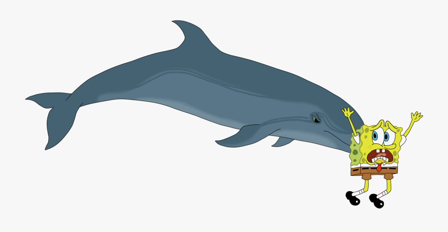 Dolphins Drawing Free Download On Unixtitan - Color Are Bottlenose Dolphins, Transparent Clipart