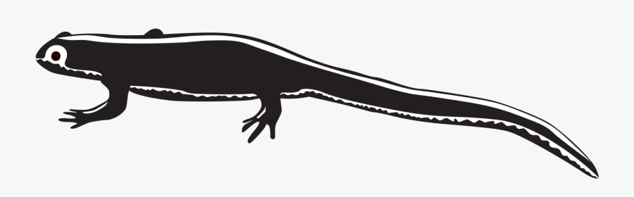 Scalable Vector Graphics, Transparent Clipart