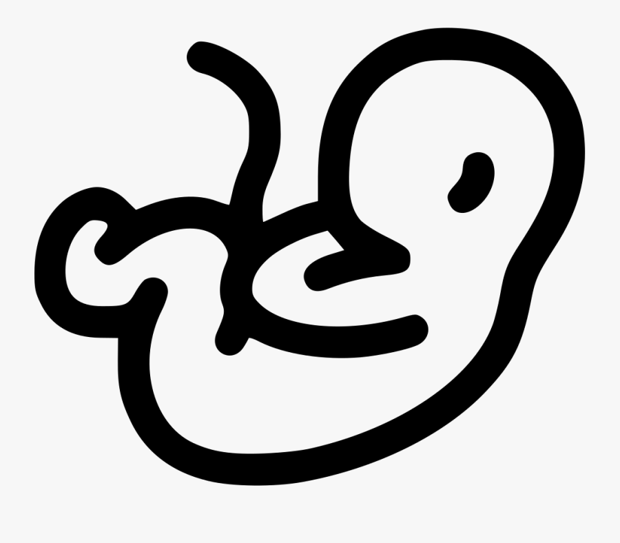 Embryo - دکتر شجاعی متخصص زنان اهواز, Transparent Clipart