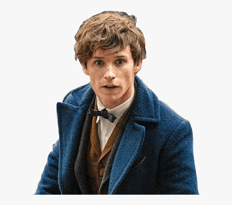 Newt Scamander Looking Up Clip Arts - Fantastic Beasts Newt Scamander, Transparent Clipart