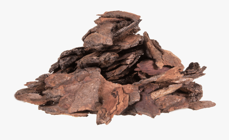 Frugal Homesteading, Gardening, Homesteading 101, Land - Кора Дерева Пнг, Transparent Clipart