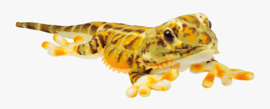 Clip Art Plush Animal Lizards Pinterest - Peluche Dragons Barbu, Transparent Clipart