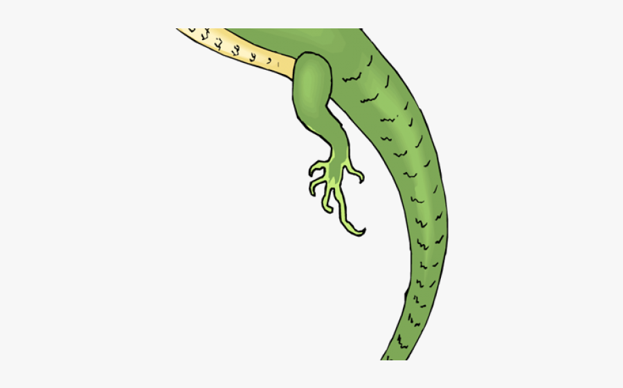 Chameleon, Transparent Clipart