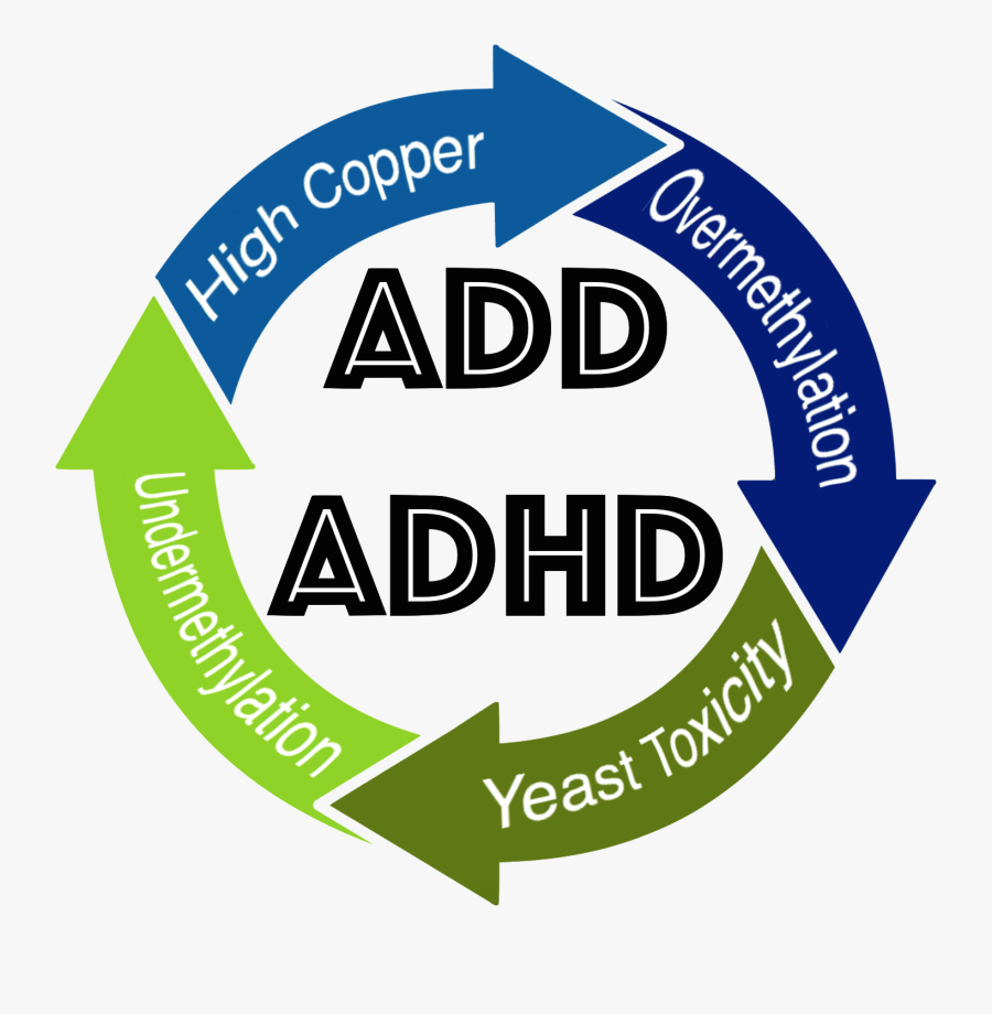 Add Adhd - Circle, Transparent Clipart
