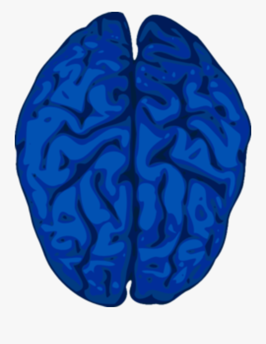 Grey Brain Clipart, Transparent Clipart
