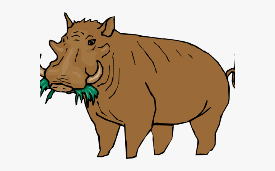 Indian Rhinoceros, Transparent Clipart