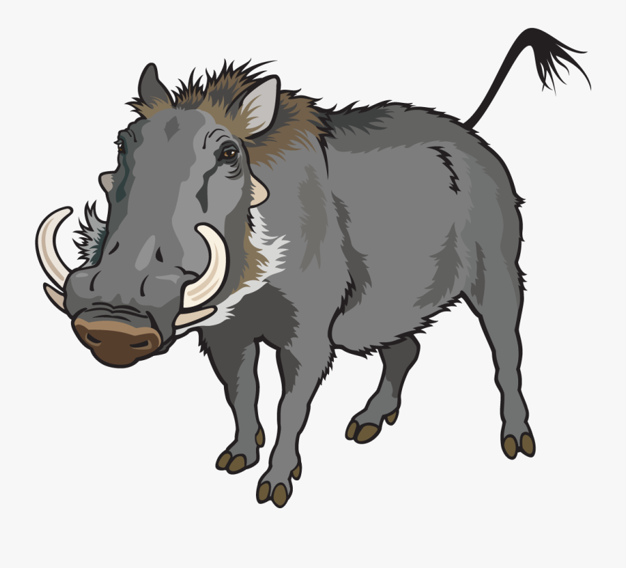 Warthog Clipart, Transparent Clipart