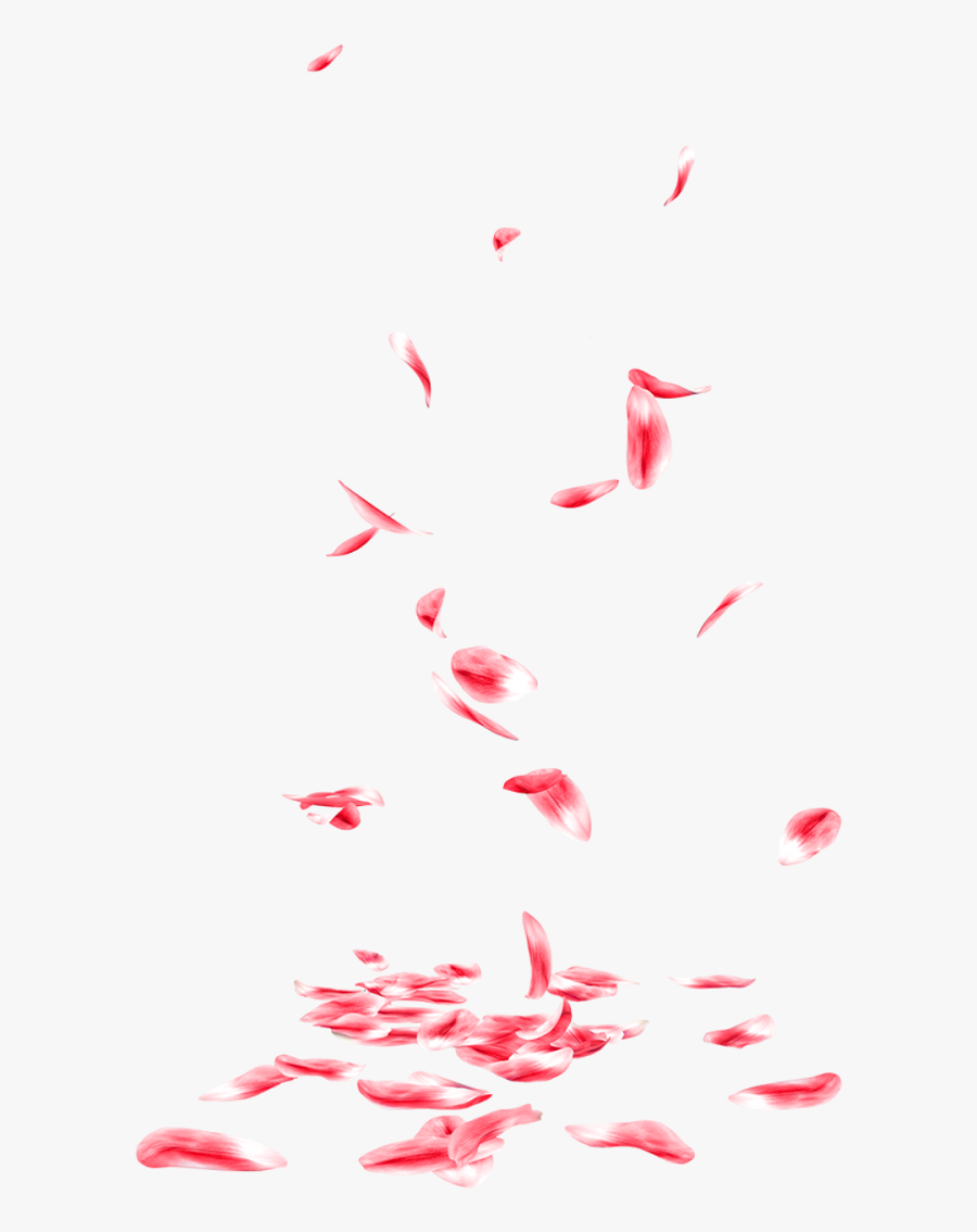 Falling Rose Petals Png Transparent - Rose Petals Falling Png, Transparent Clipart