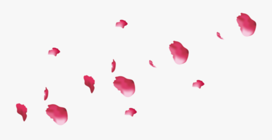 Pink Rose Petals Png - Real Pink Petals Png, Transparent Clipart