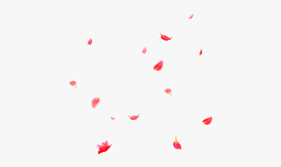 Beautiful Flower Petals Falling Png - Heart, Transparent Clipart