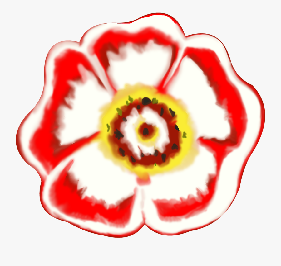 Tudor Rose Petal Flower, Transparent Clipart
