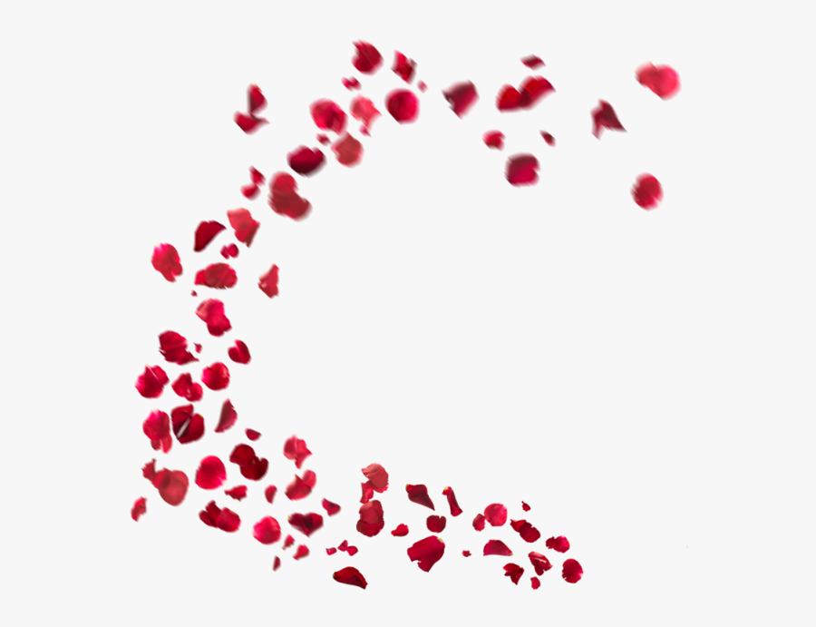 Flower Petals Png - Effect Png For Picsart, Transparent Clipart