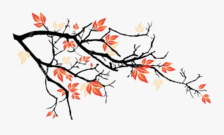 Transparent Falling Petals Png - Tree Branches Falling Petals Illustration, Transparent Clipart