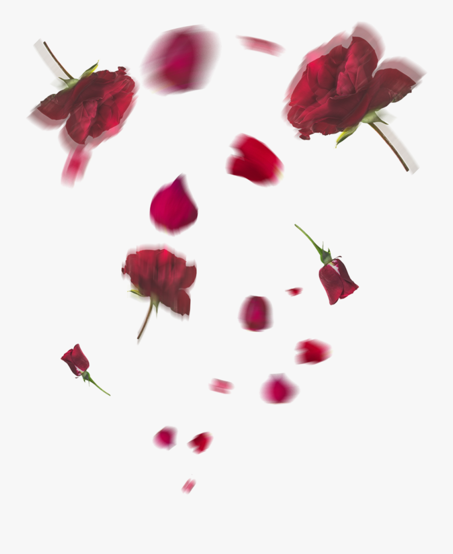 Falling Rose Petals Png Transparent Hd Photo - Flowers Falling Png Hd, Transparent Clipart