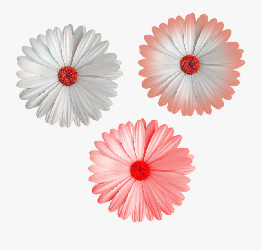 Flower Png In Color, Transparent Clipart