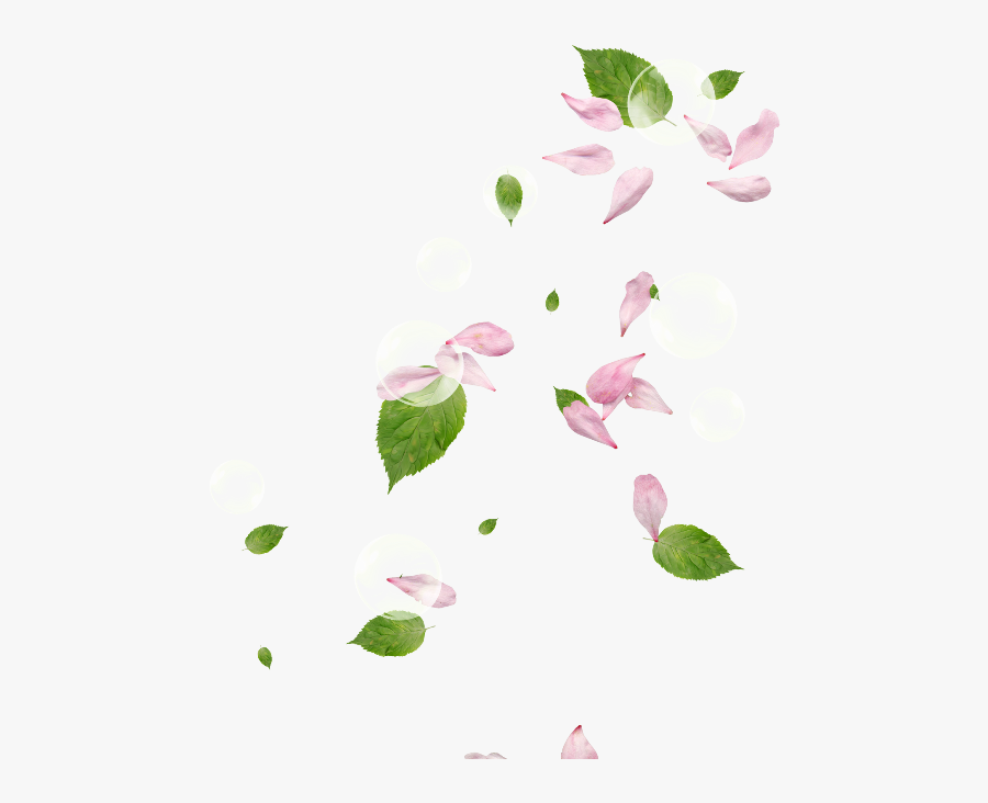 Pink Flower Petals - Dont Be Afraid To Give Up The Good To Go For The Great, Transparent Clipart